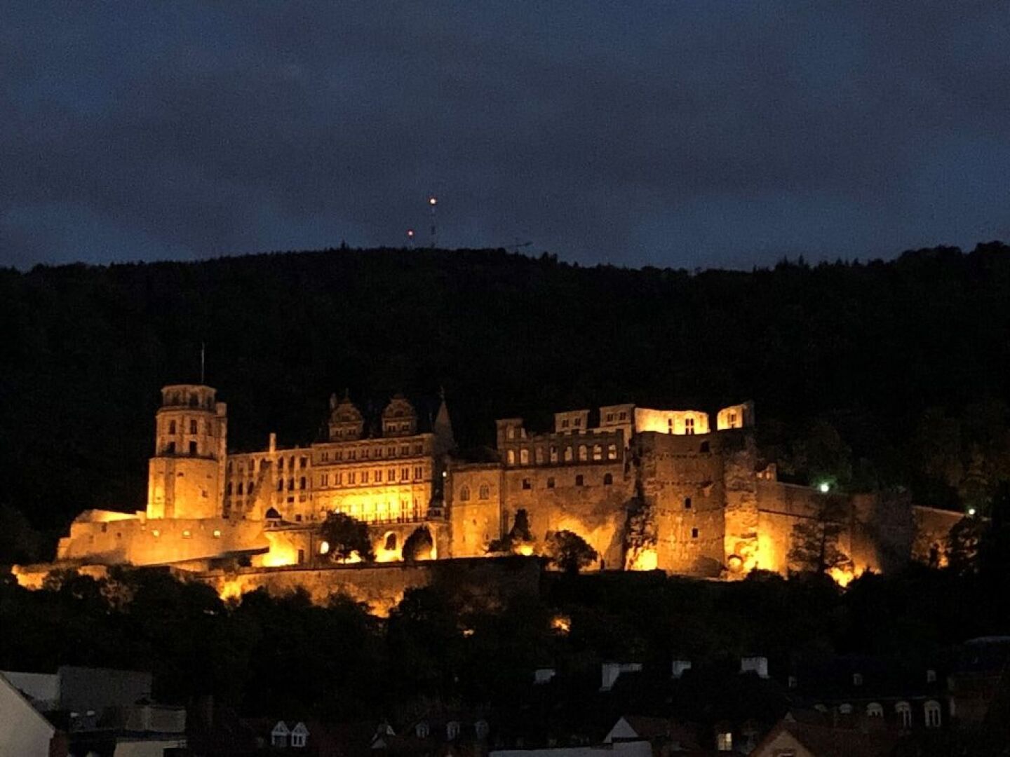 Boardinghotel Heidelberg