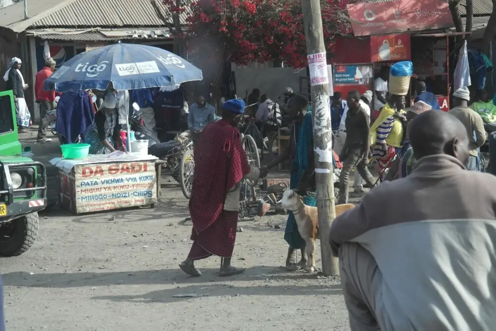 Kilemakyaro Mountain Lodge