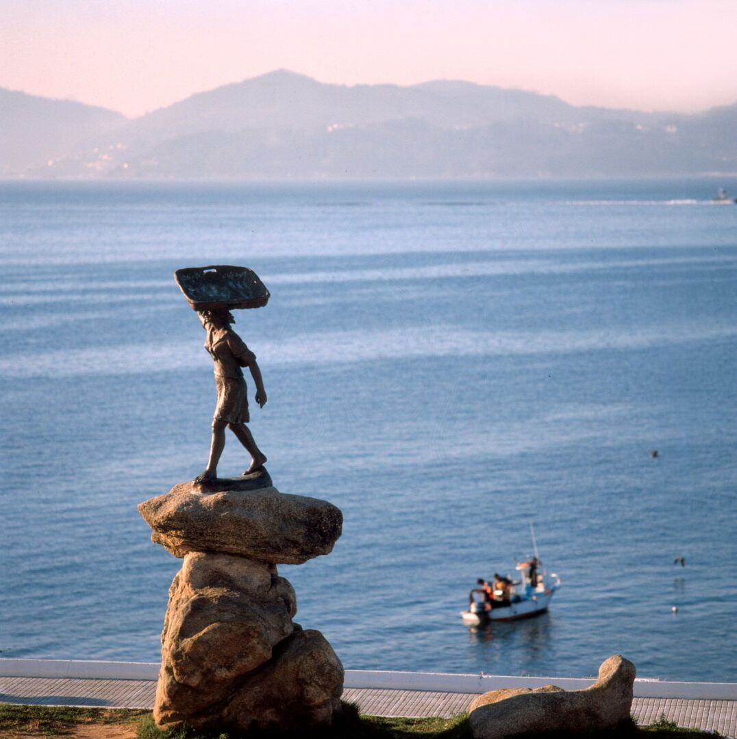 Aptos Duerming Portonovo Pico