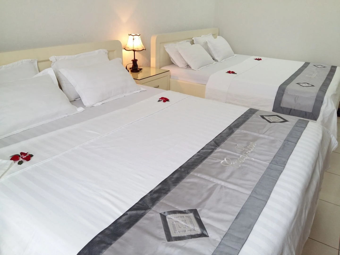 Sao Mai Cosy Nest Noi Bai Airport