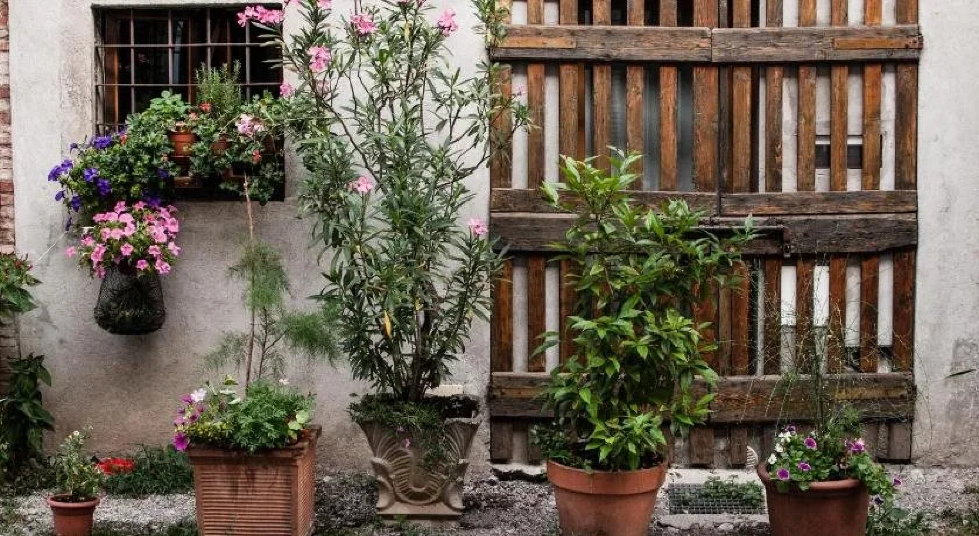 Buonocore Guesthouse