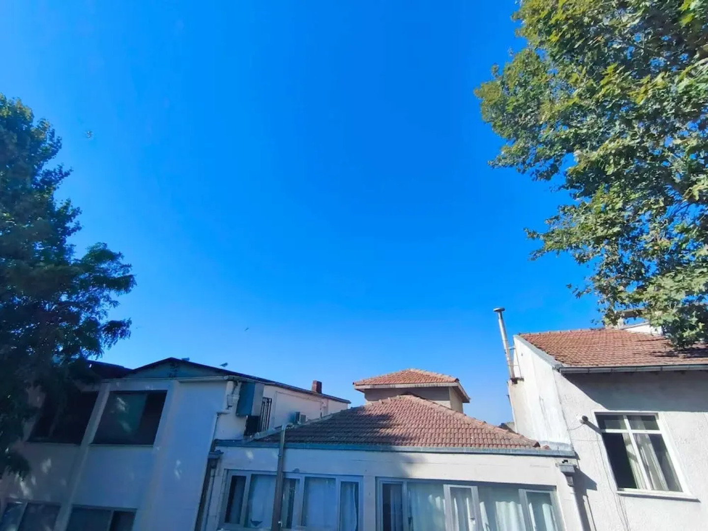 Отель Büyükada Mavi Palas