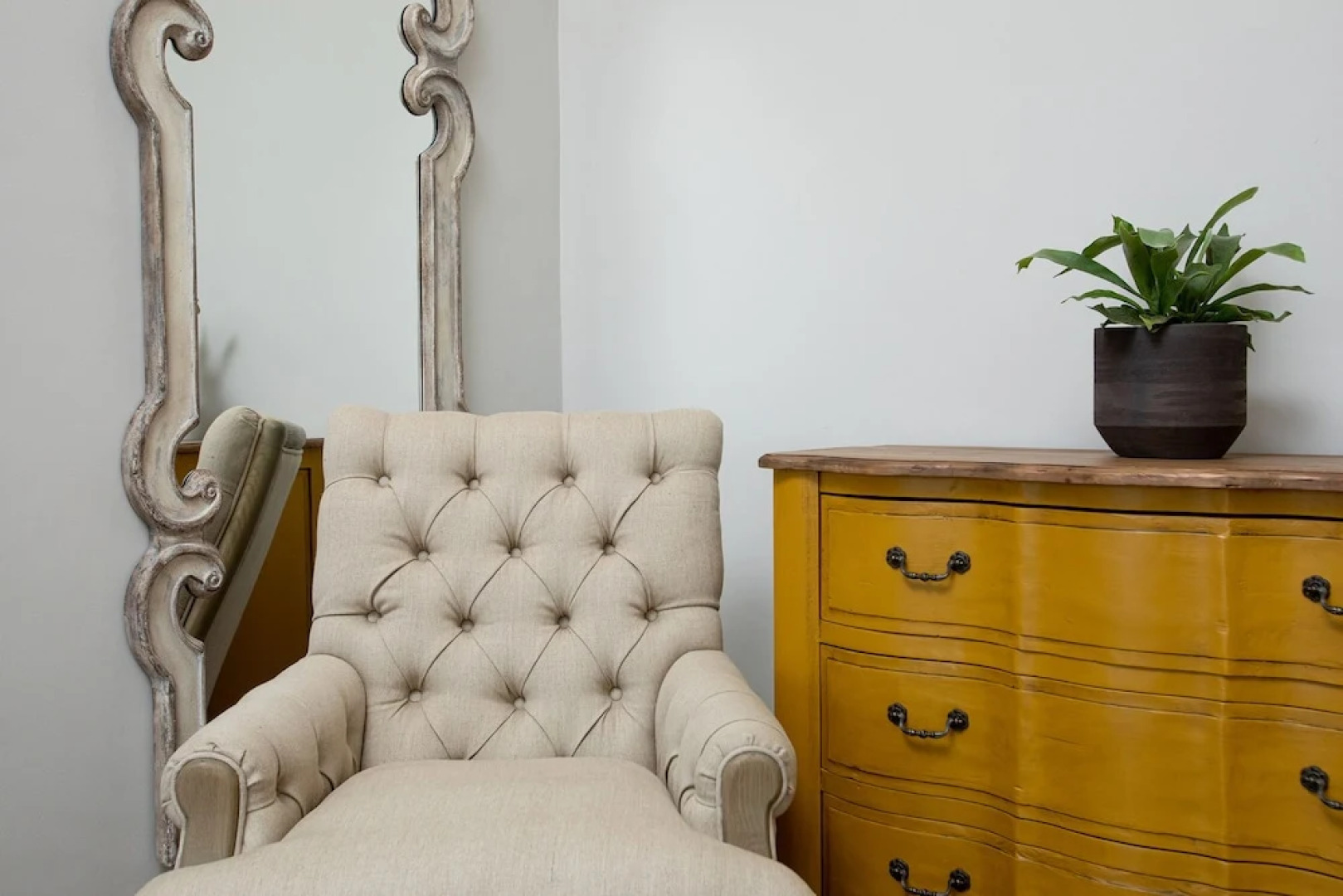 Taaibosch Collection