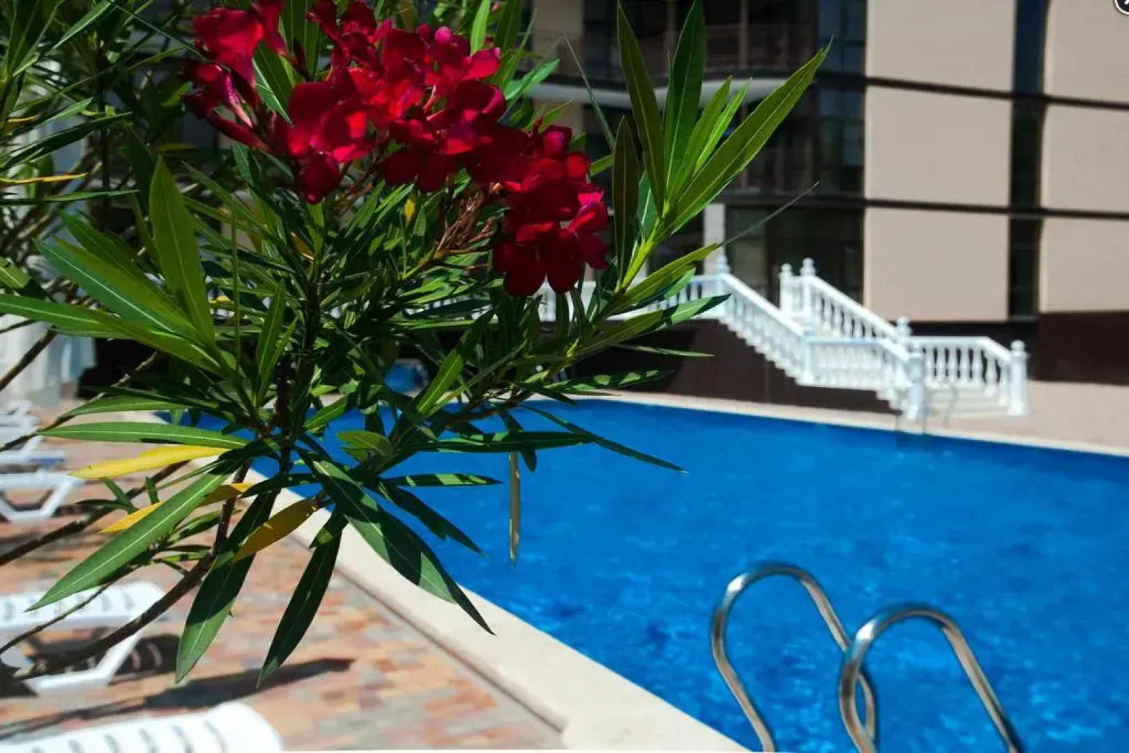 Miracle & N (Миракл & Н)