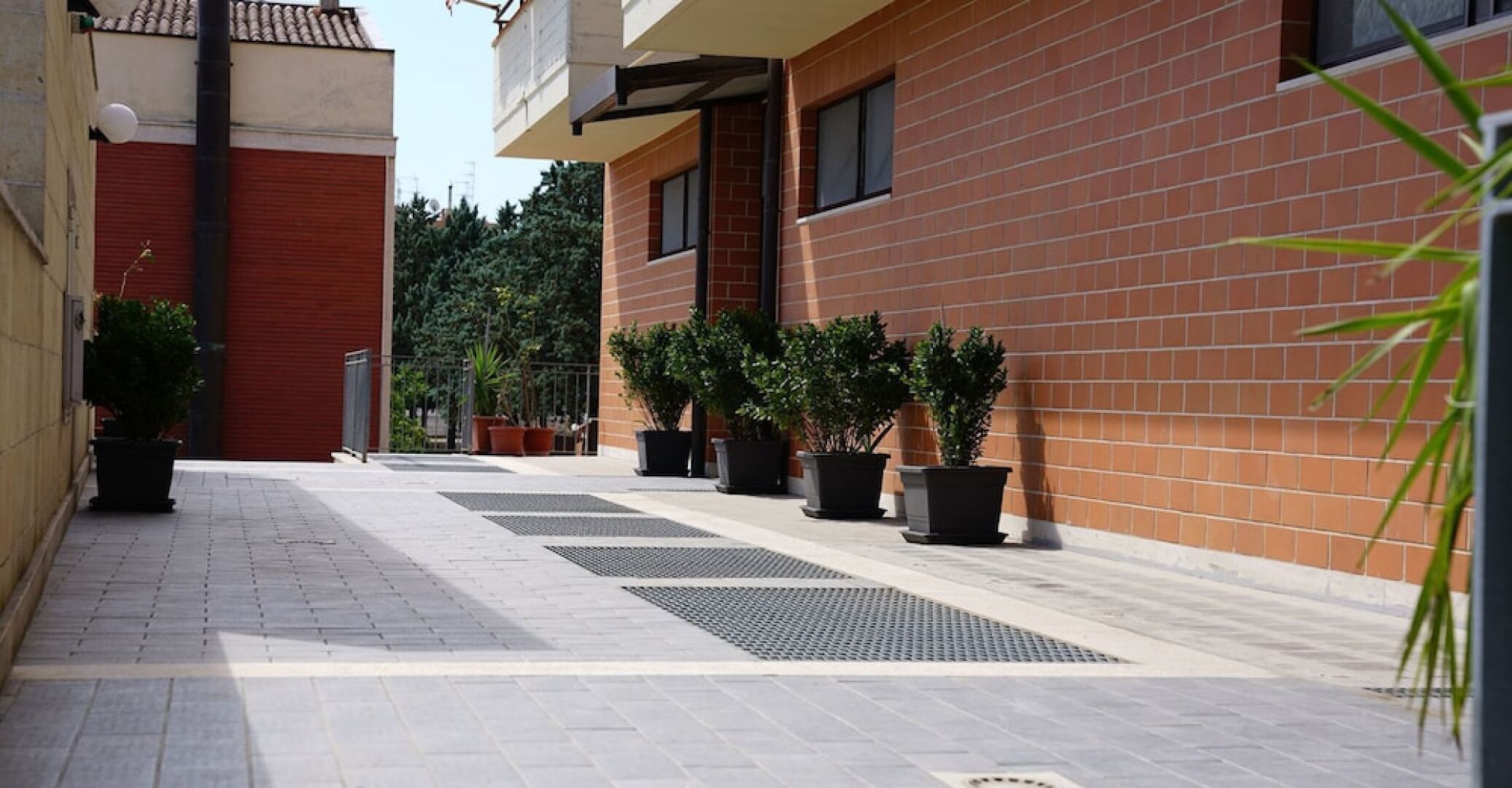 B&B President's Home