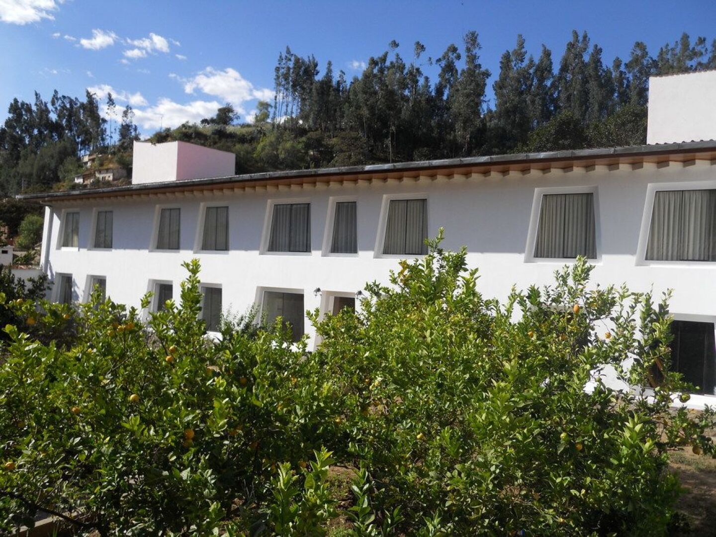 Hotel El Abuelo