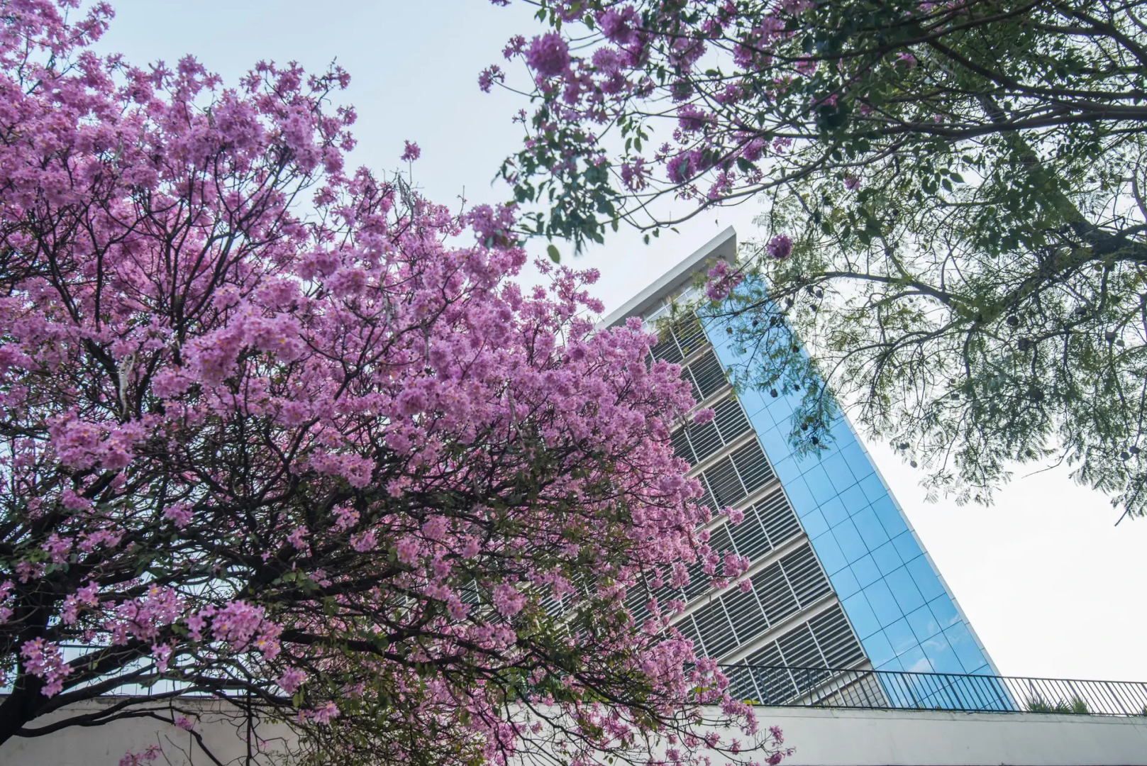Hotel Guarani Asuncion