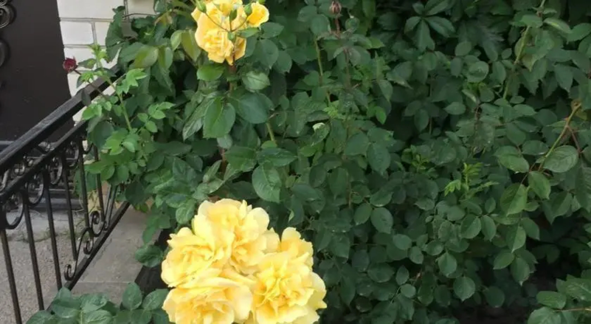 Ангельский Рай