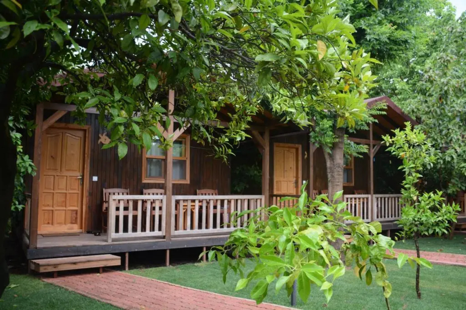 Caretta Caretta Pension