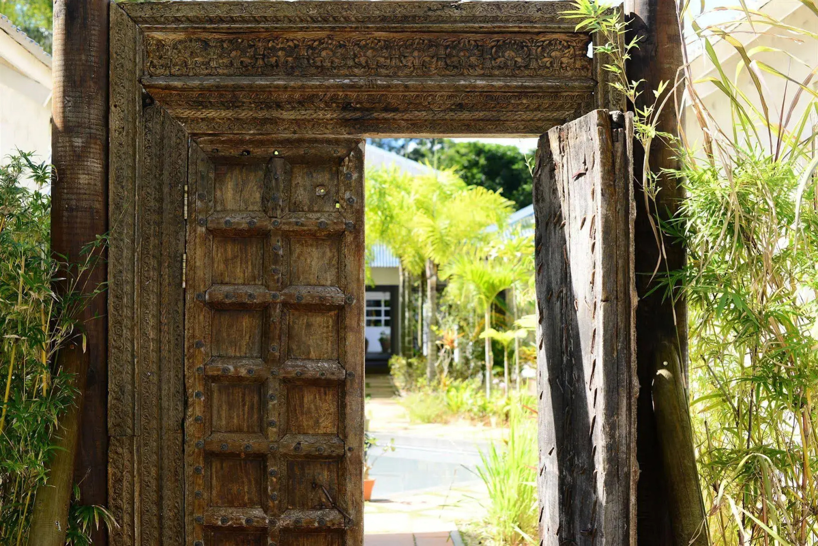 The Ravenala Attitude