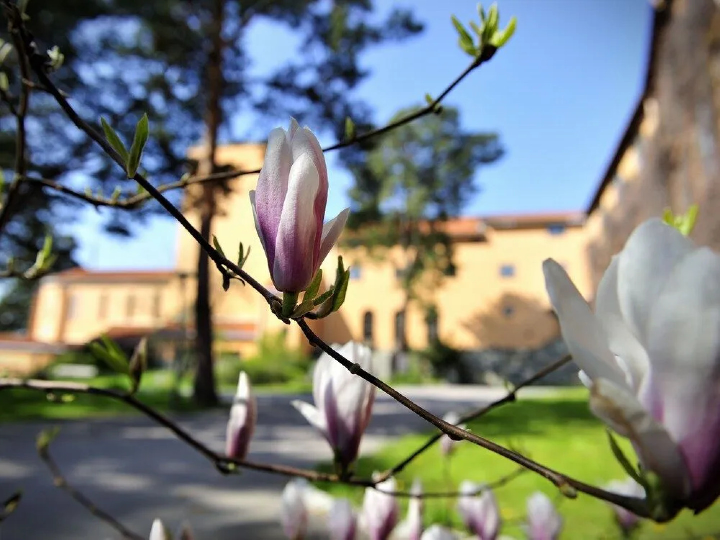 Sigtunastiftelsen Hotell & Konferens