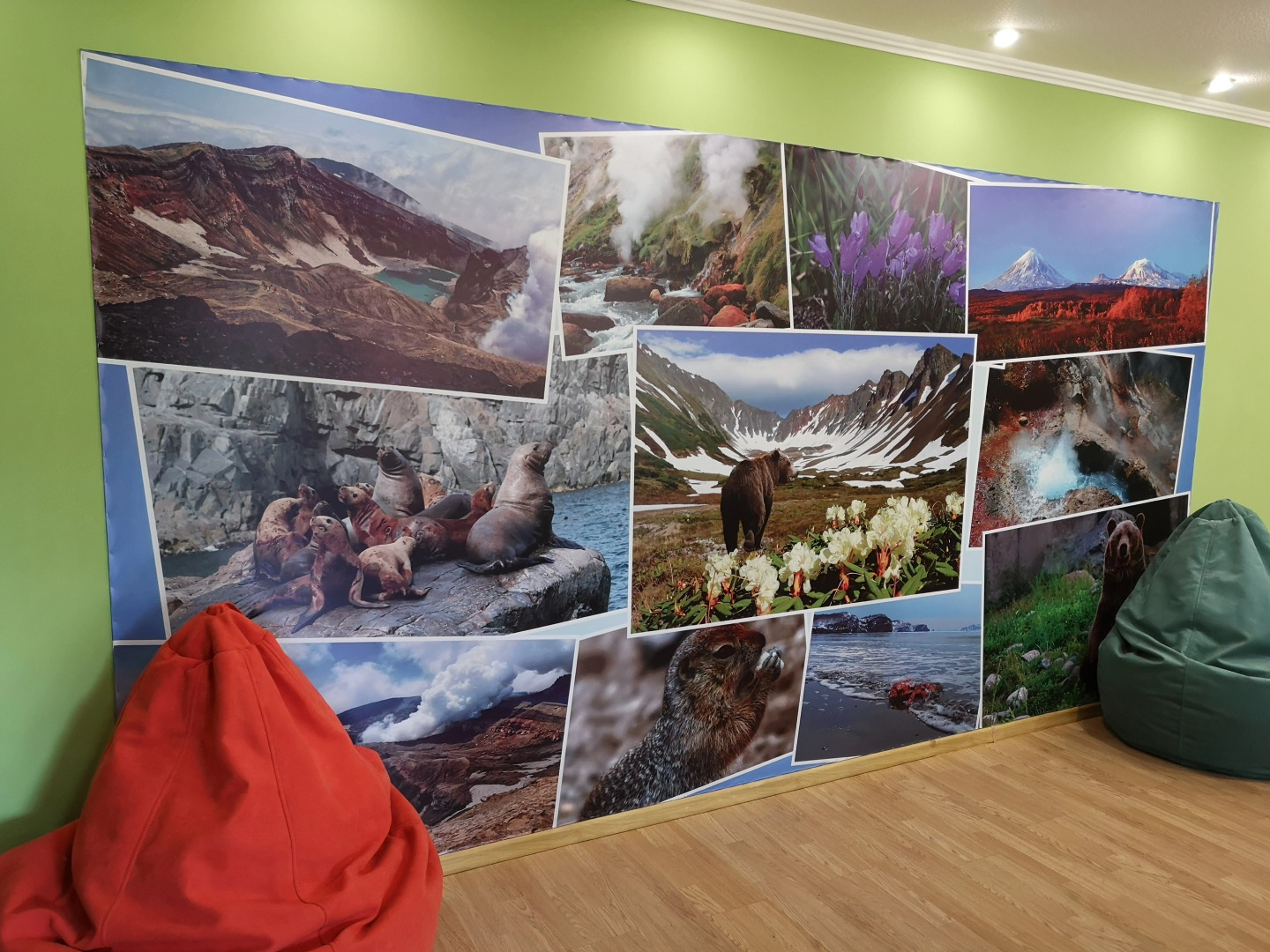 Мини-отель Шаде