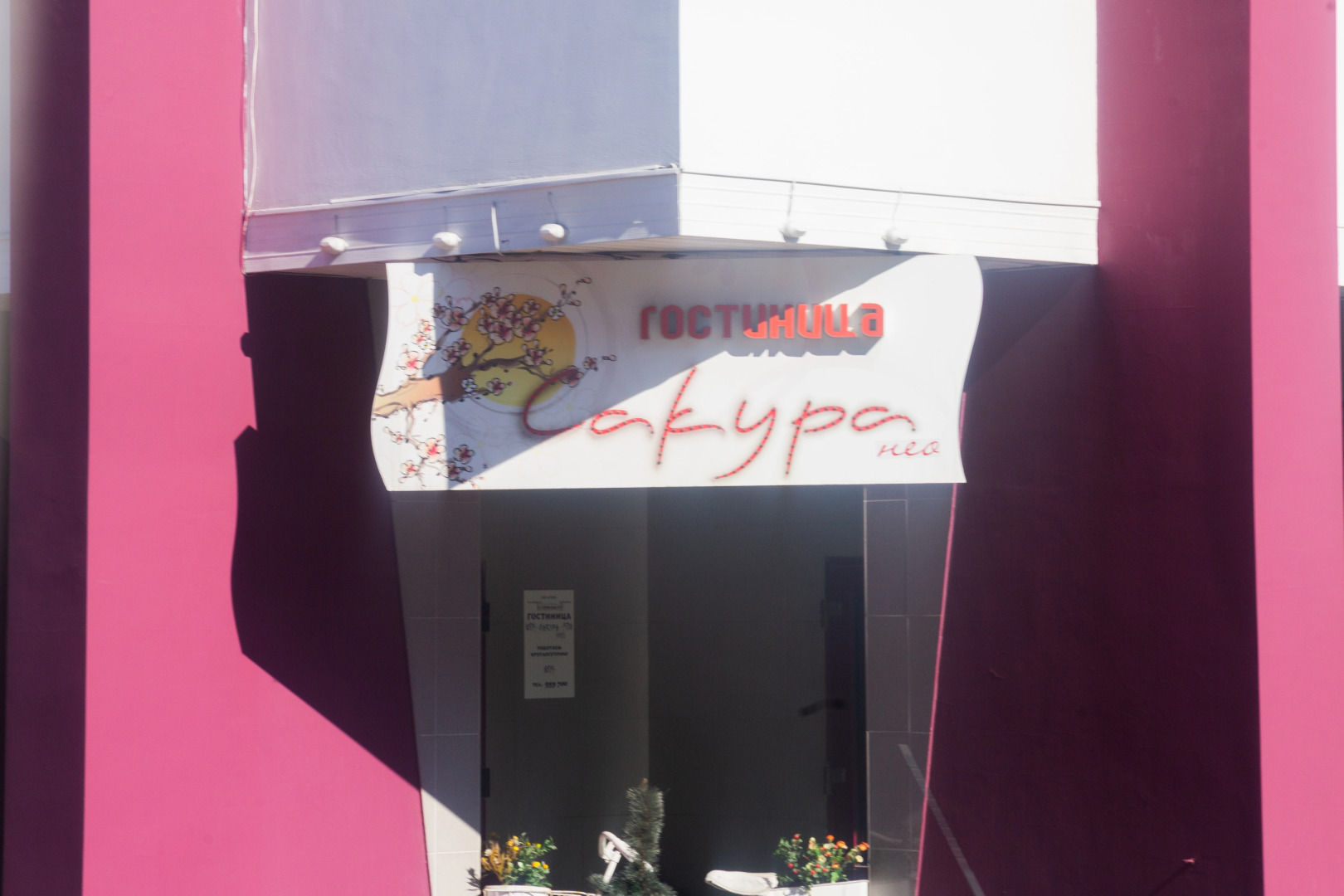 Отель Сакуранео