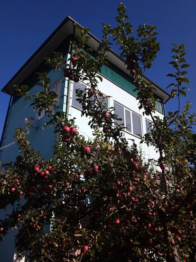 Гостевой дом Тамара