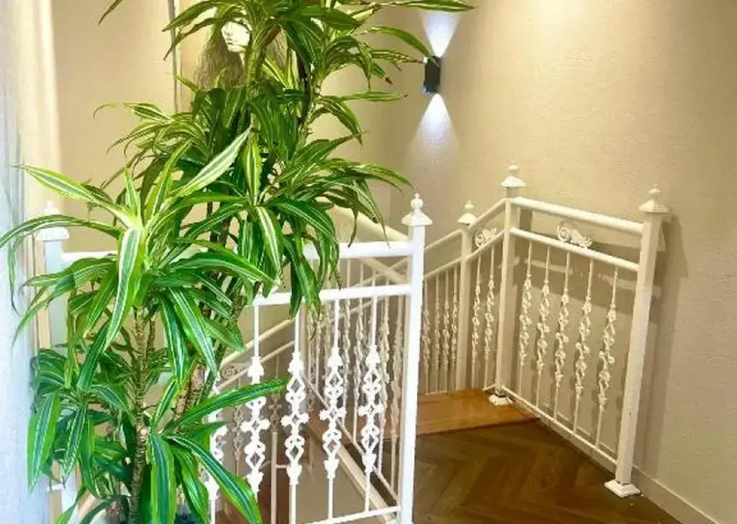 Отель Perla De Mar Inn