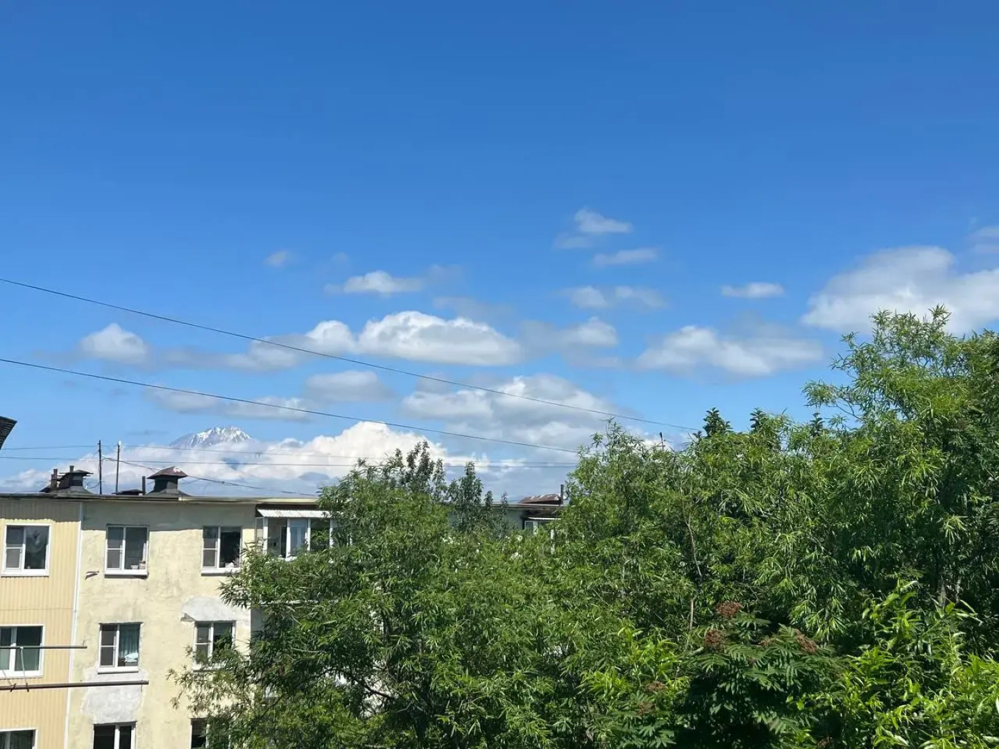 Апартаменты Созвездие Камчатки в Деловом Цетре