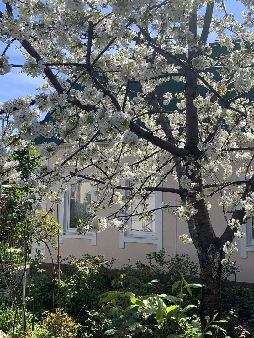 Гостевой дом на Красных партизан