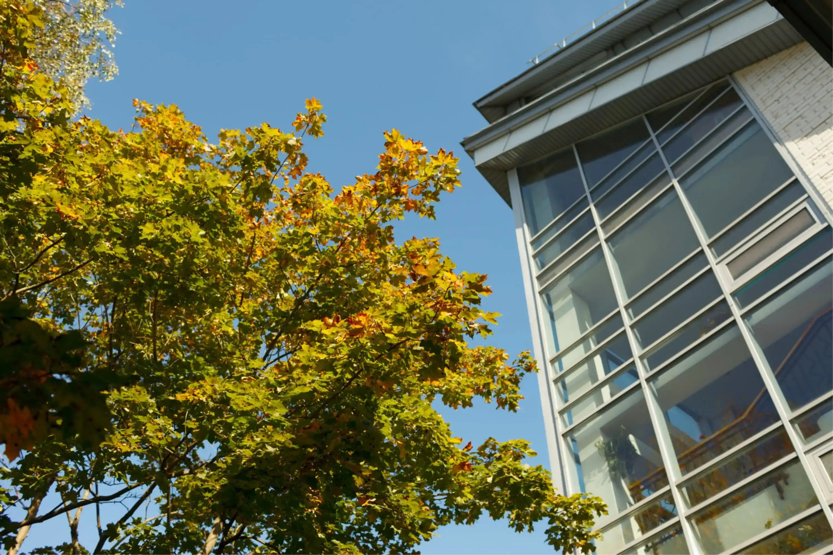 Отель К-Визит Токсово