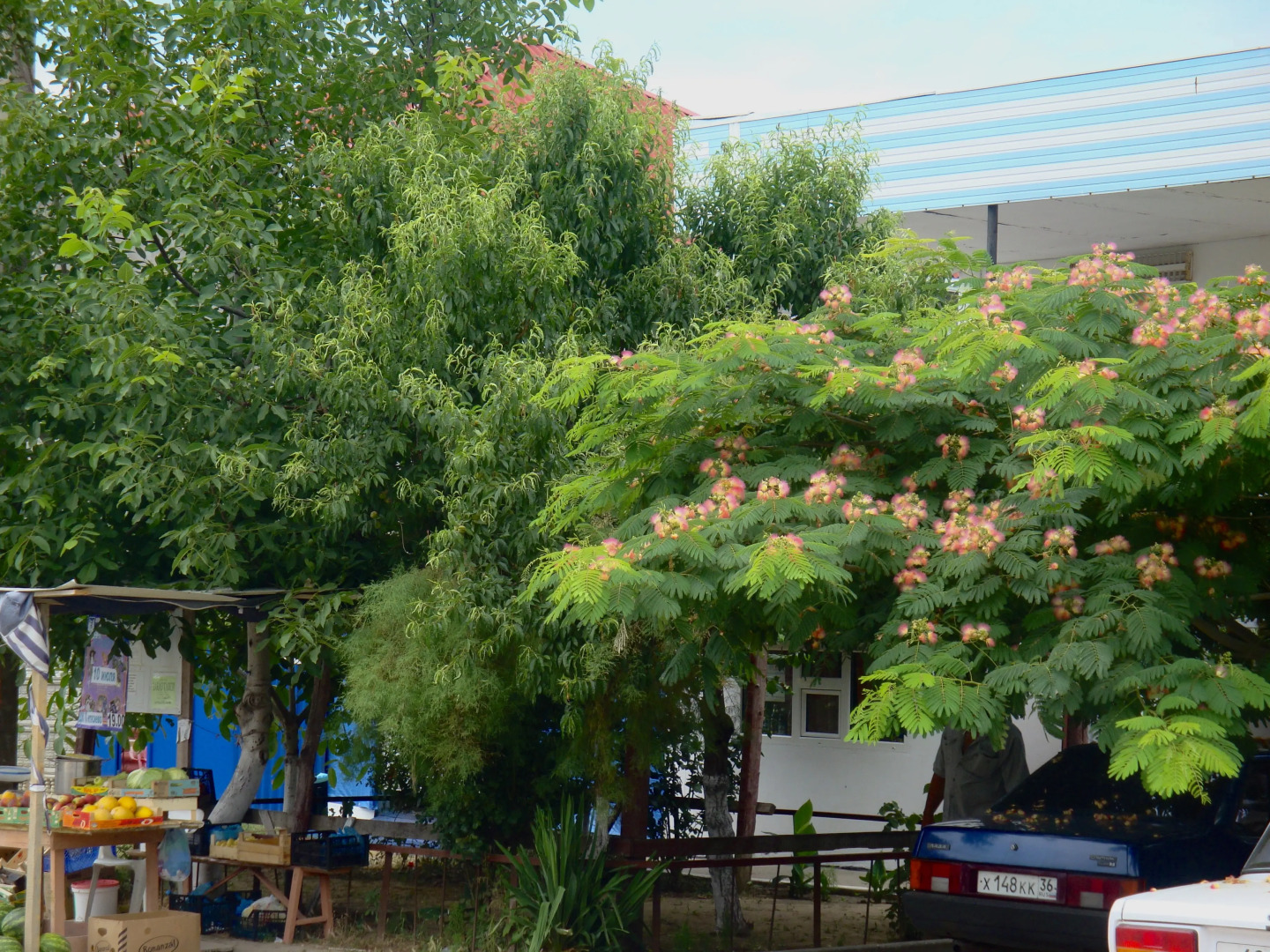 Гостевой Дом Татьяна