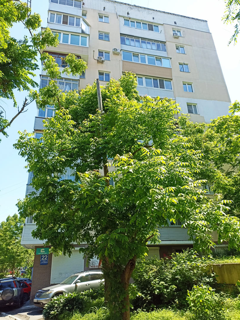 Апартаменты двухкомнатные в центре Владивостока