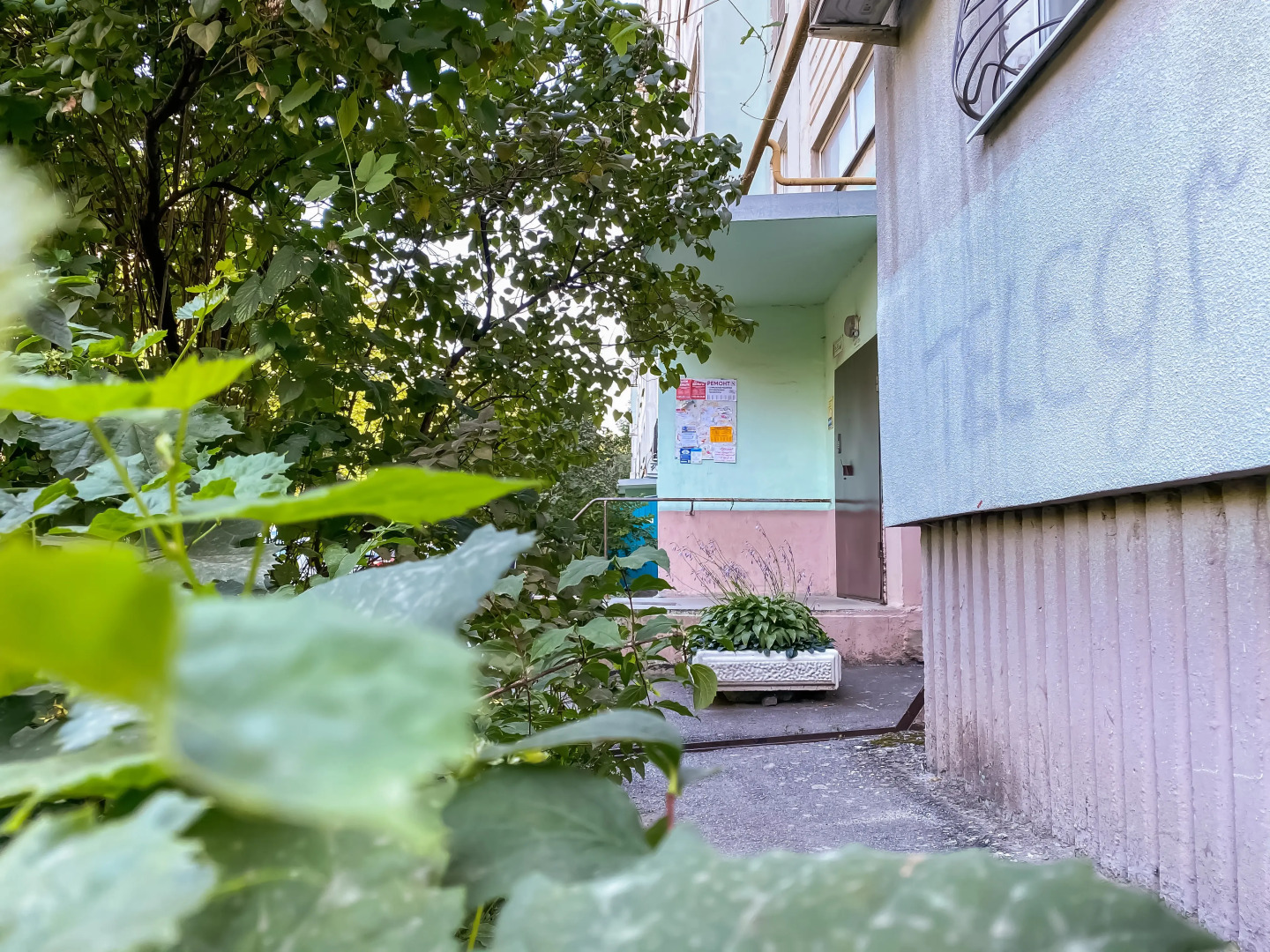 Квартира Уютная на Жмайлова