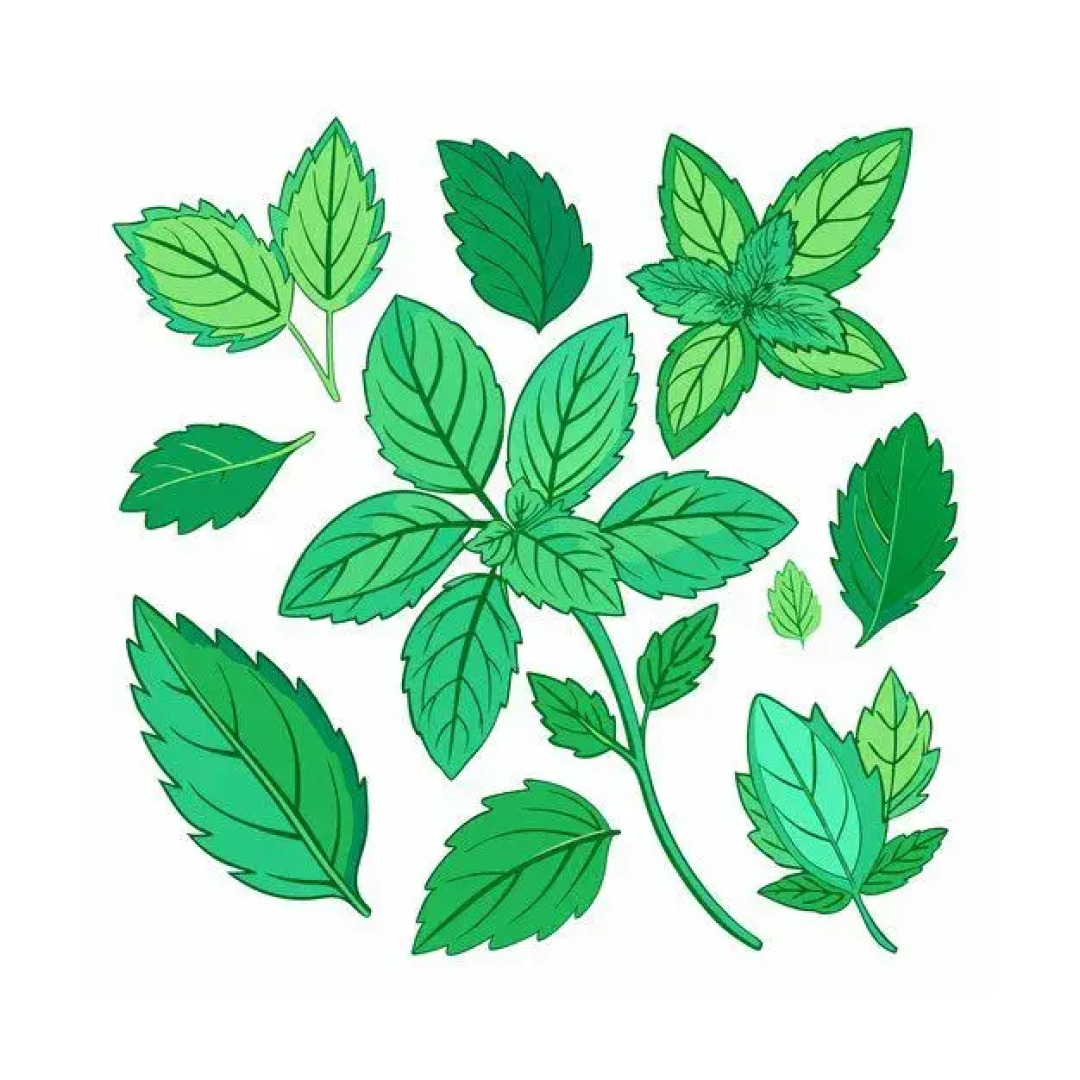 Частный дом на Береговой 2