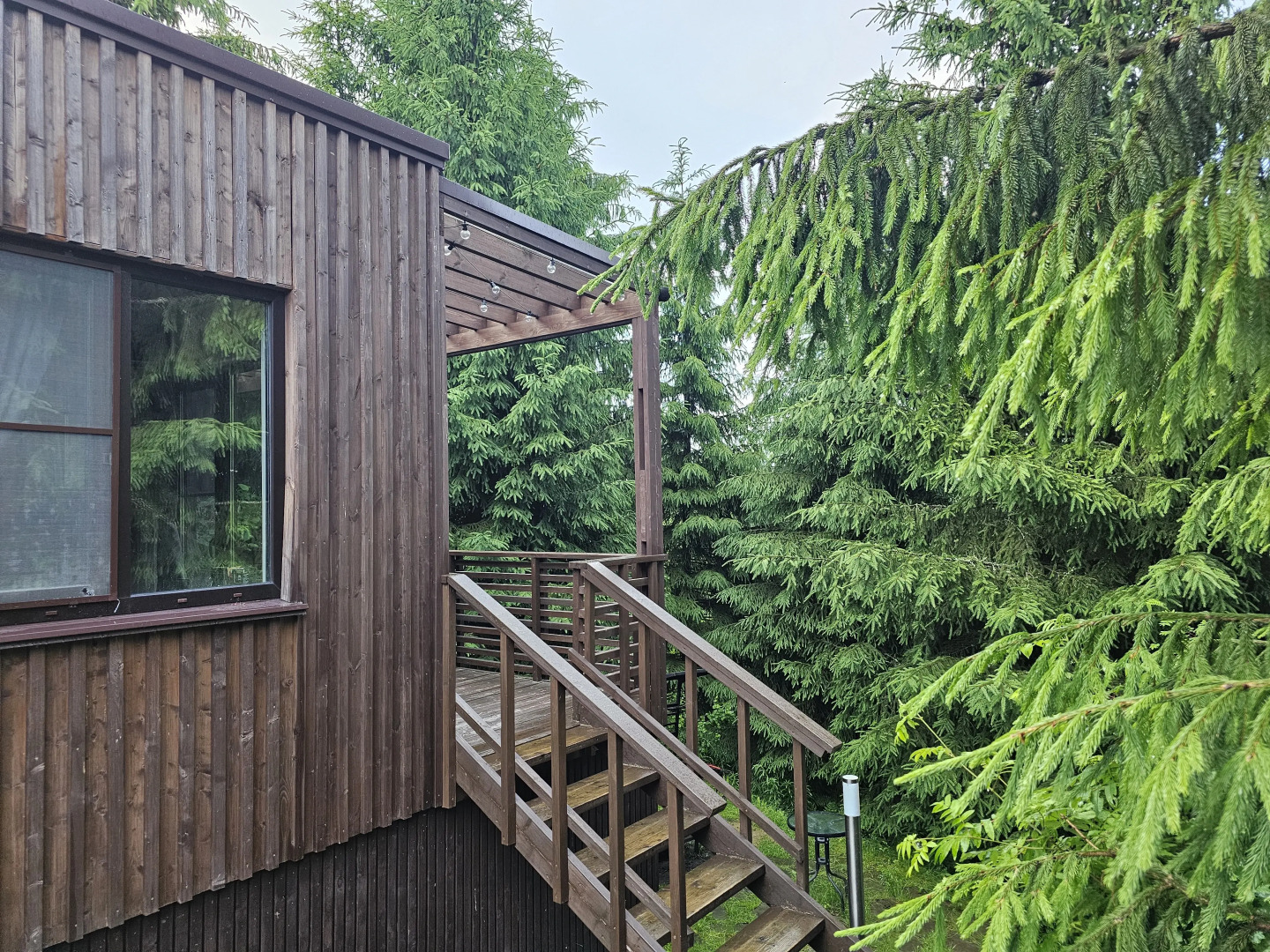 Коттедж Черничный Склон Forest House