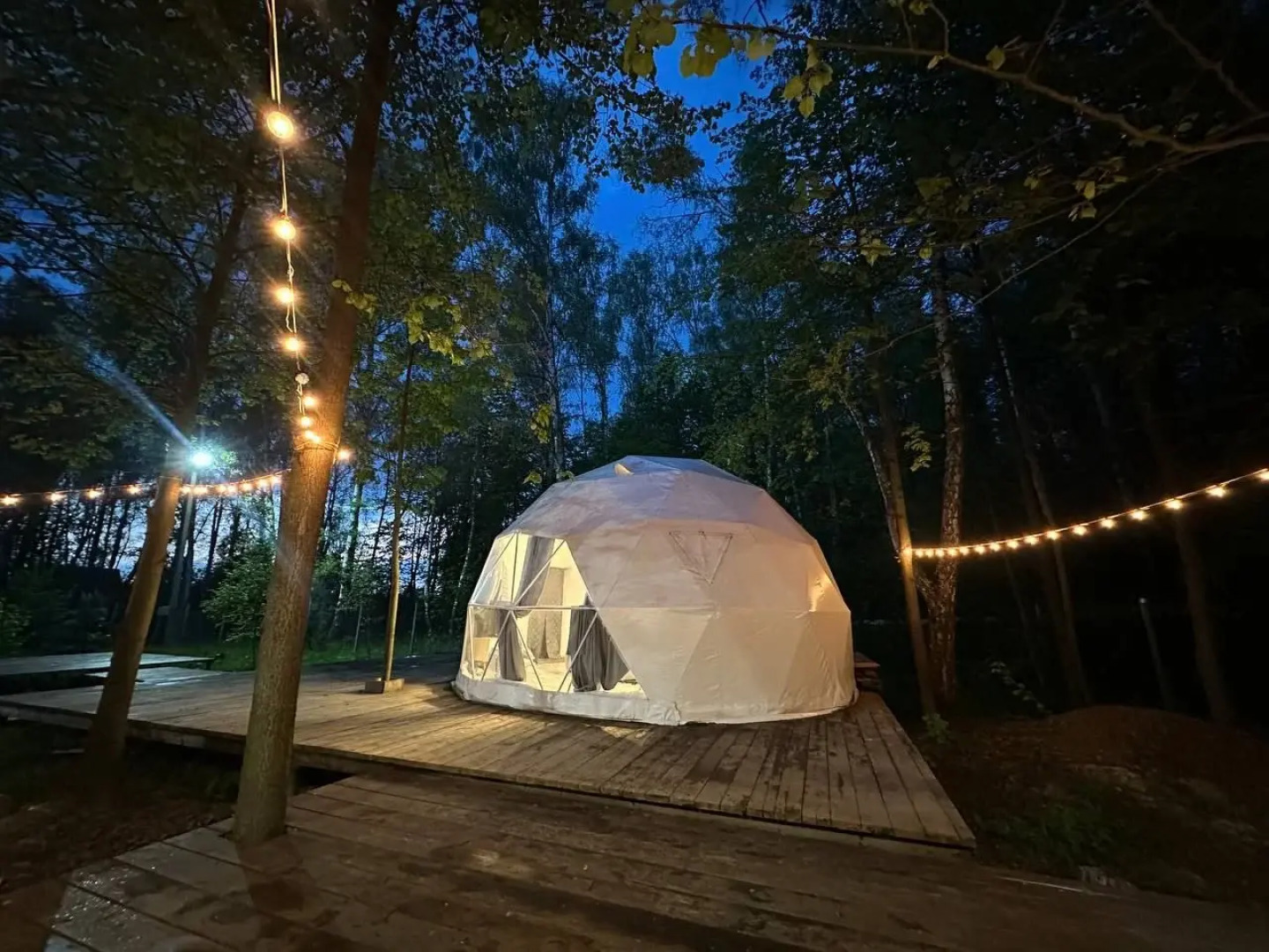 Шале в лесу