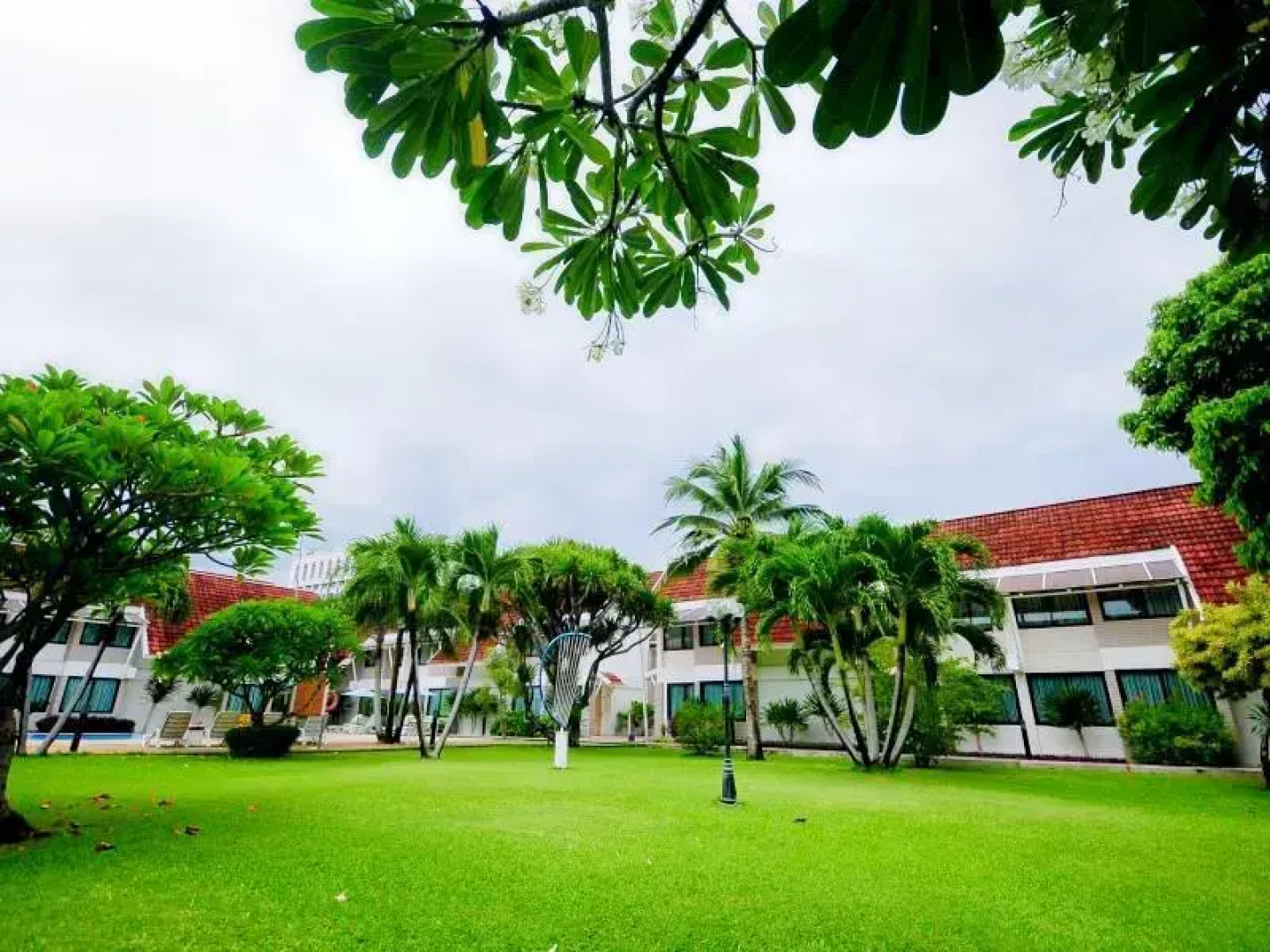 Отель Tropicana 