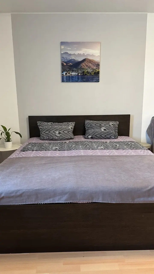 Квартира в центре на Смолина