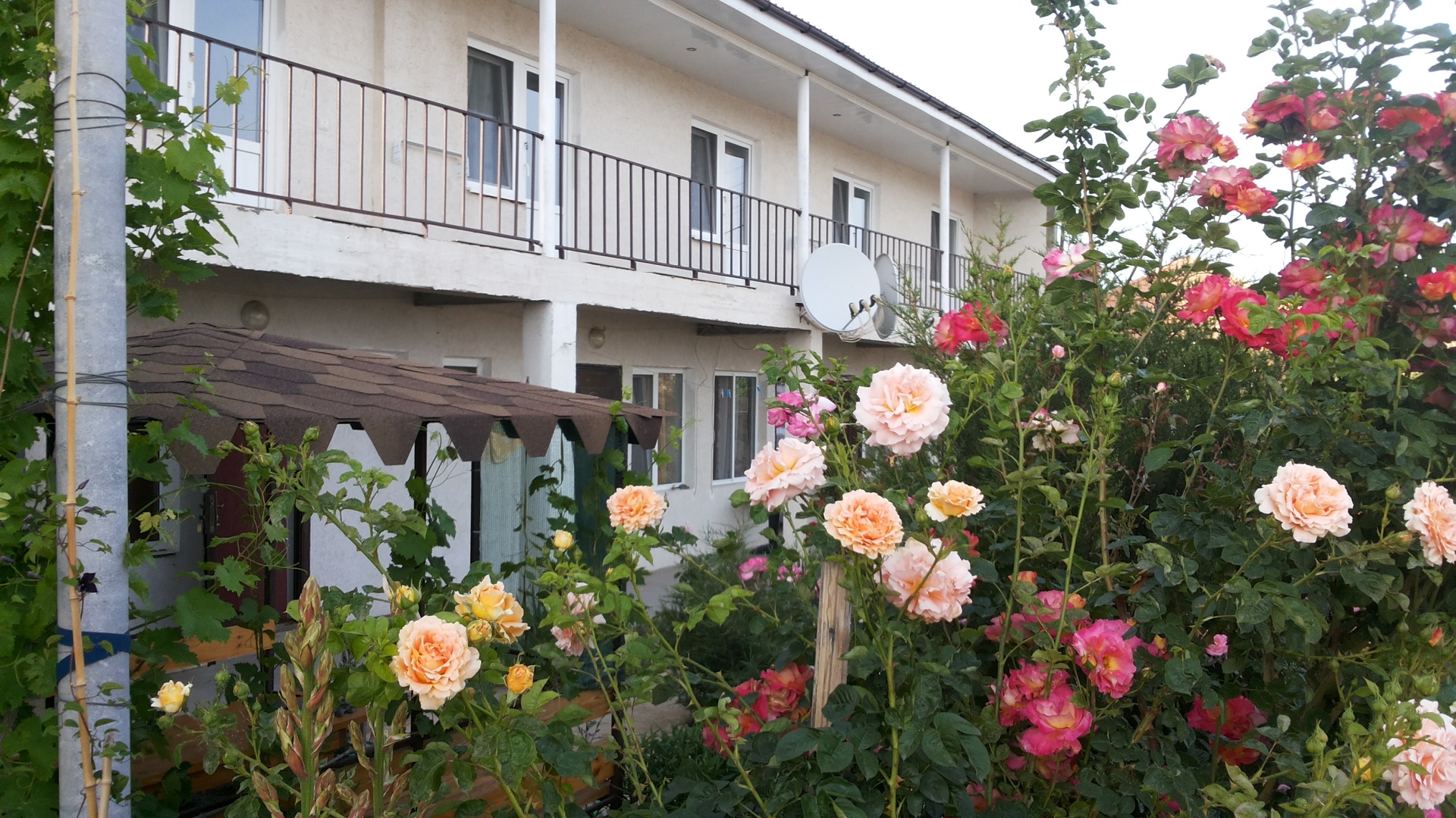 Гостевой Дом Цветок Граната