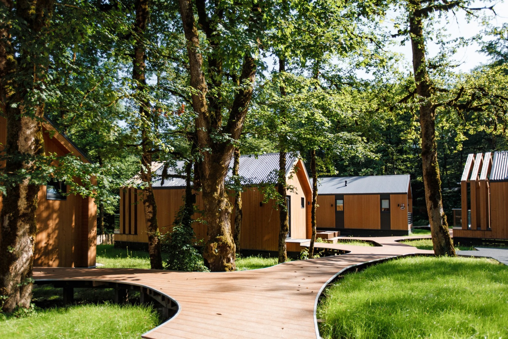 Глэмпинг Енот