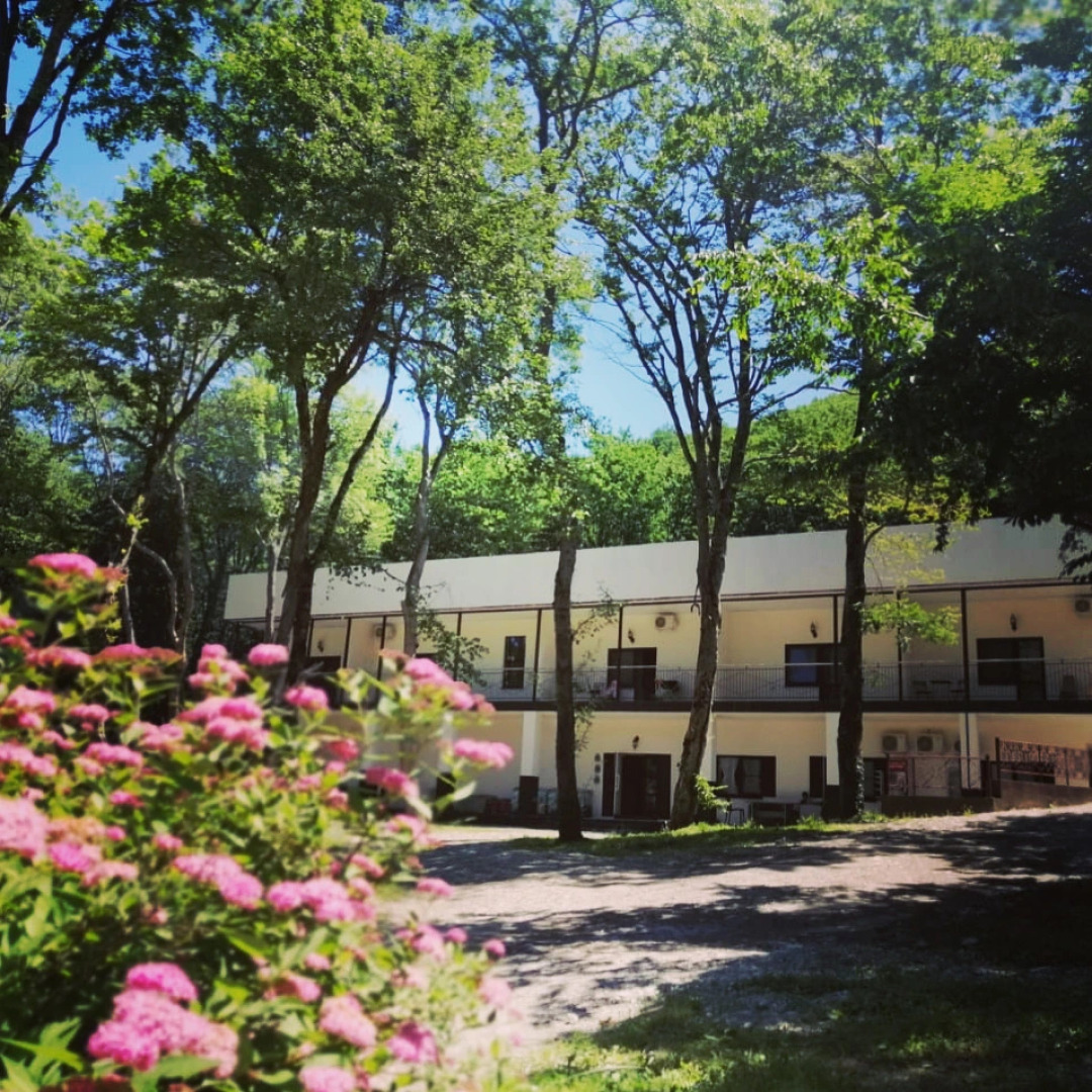 База отдыха Гостиничный комплекс Примула