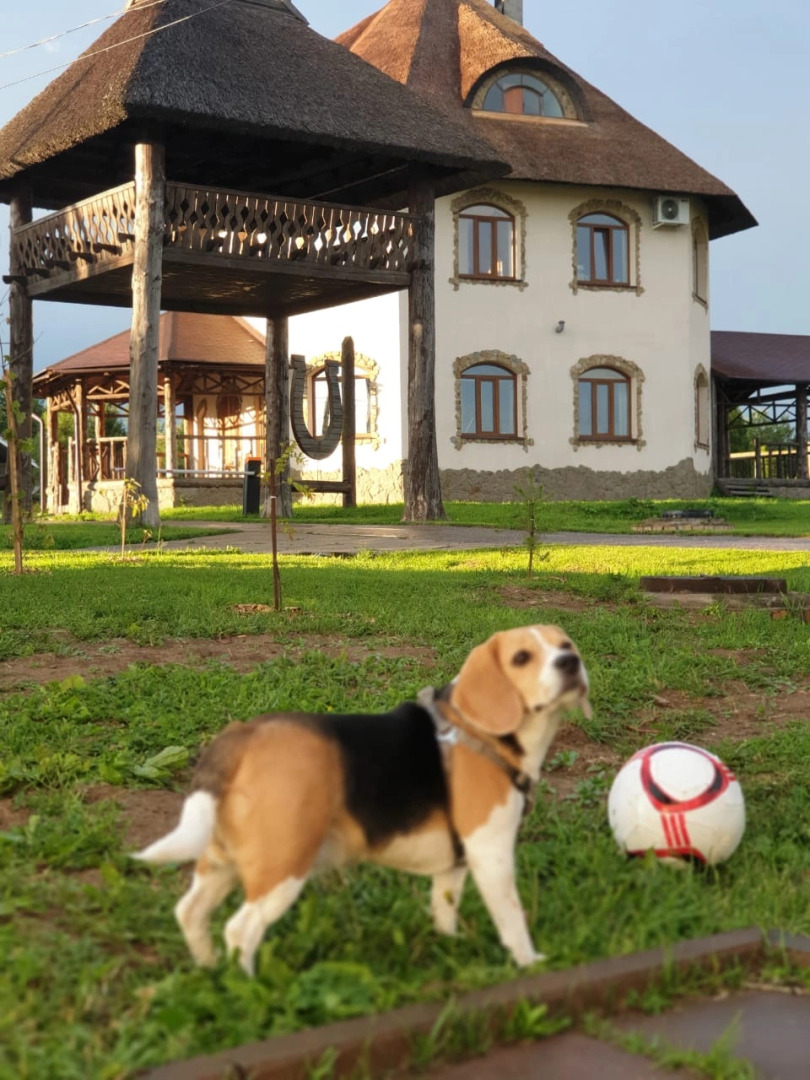 Мини-отель Воронцово