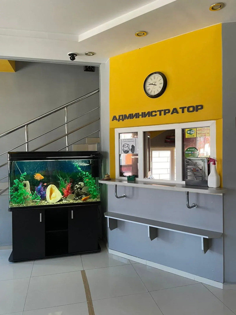 Отель Плазма