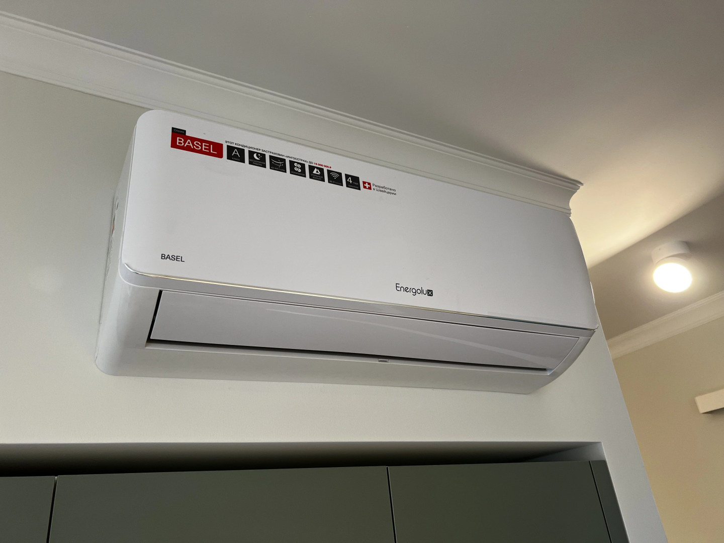 Квартира с Гусем в Инновации