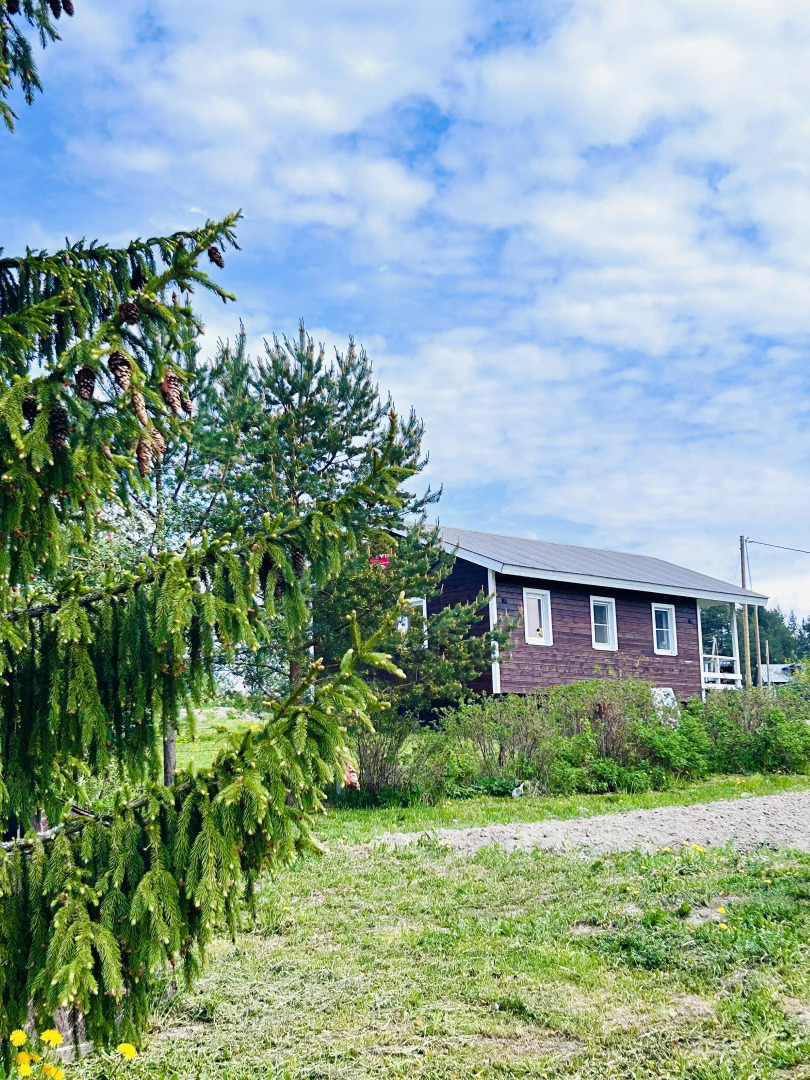 Гостевой дом Ladoga Dreams с сауной