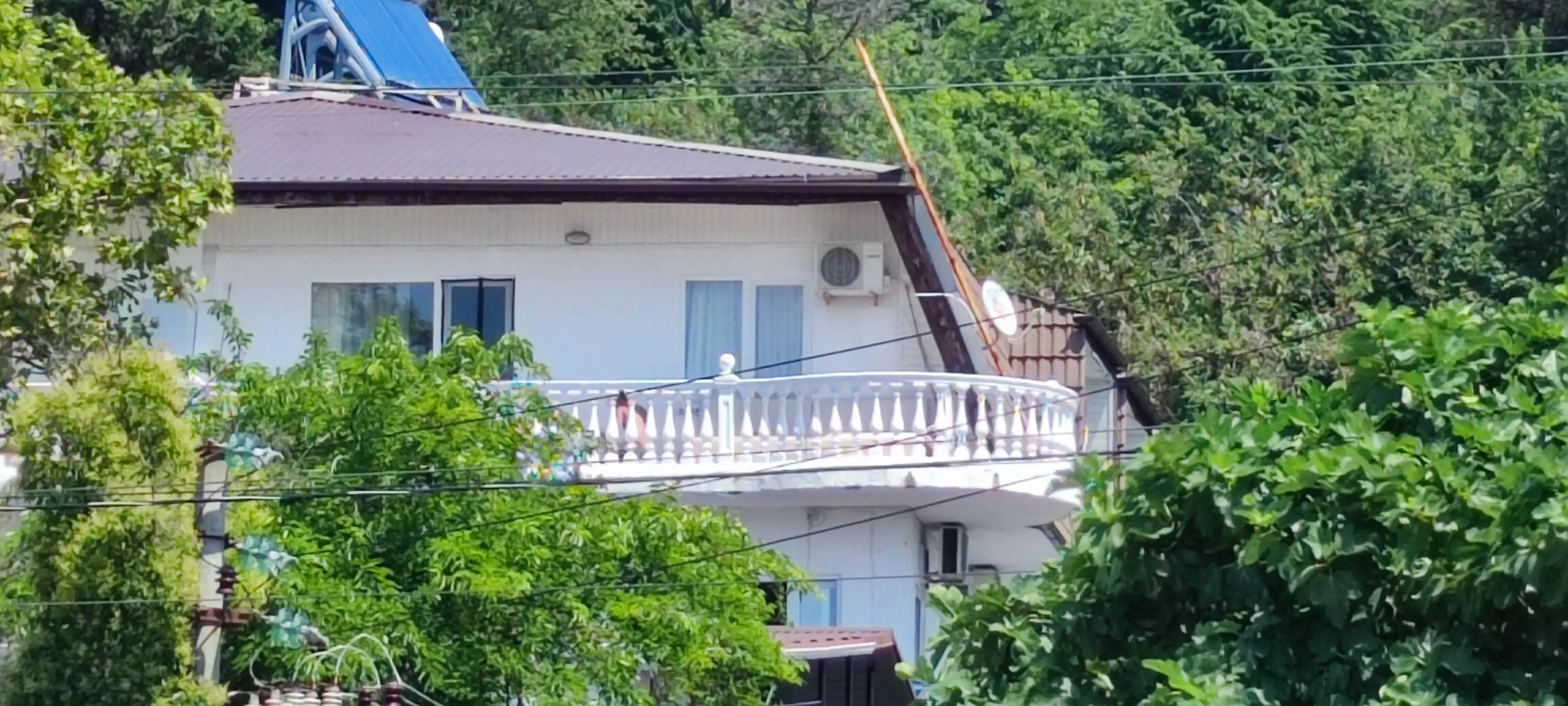 Апартаменты Платан