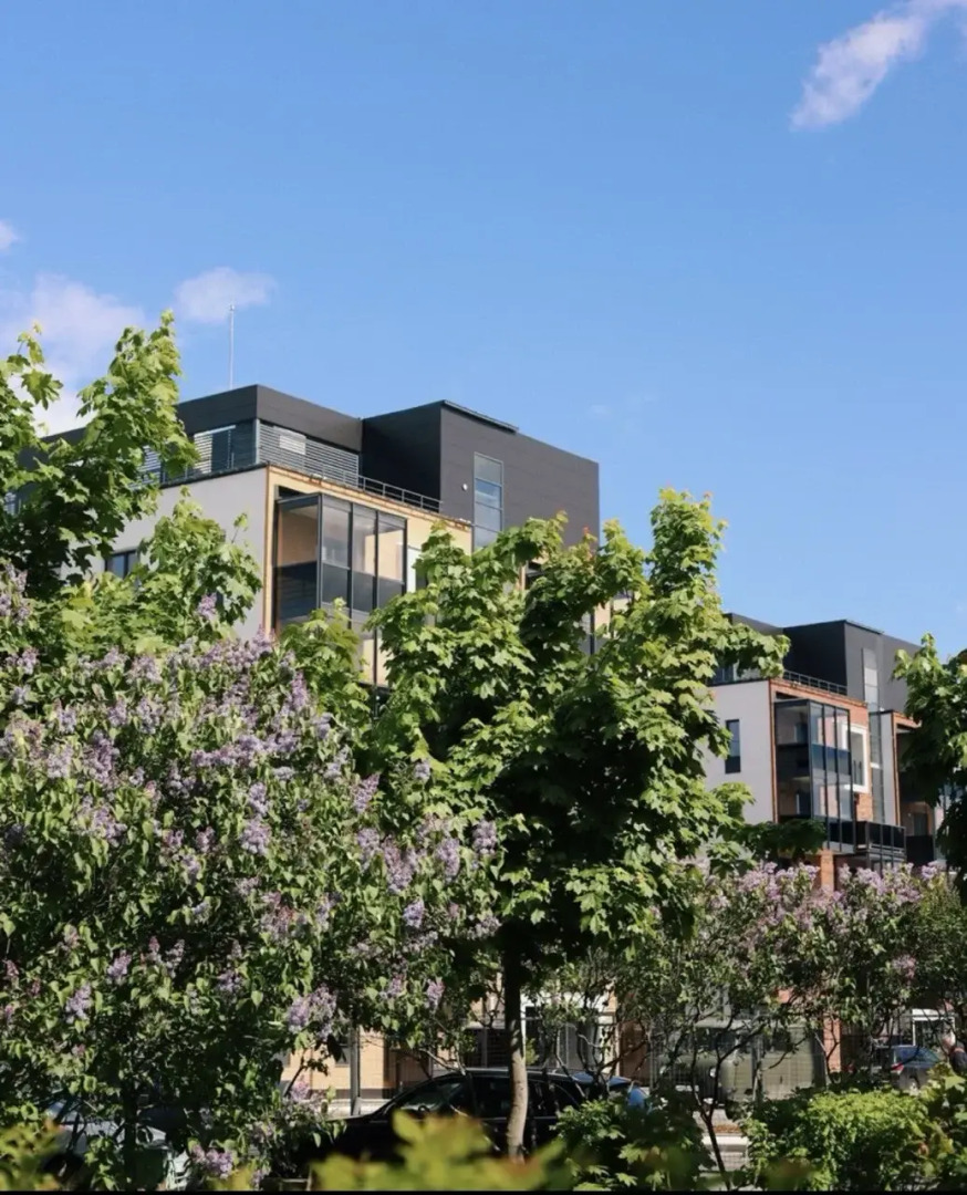 квартира премиум-класса в стиле "эко" с видом на парк и речку