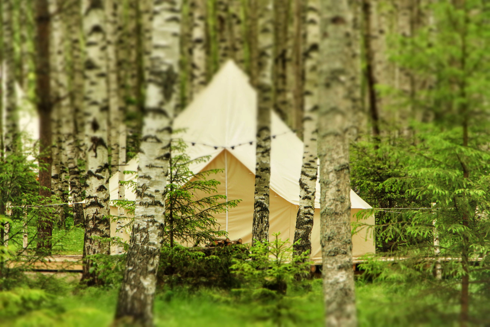 Вилла Берег Грифона 4