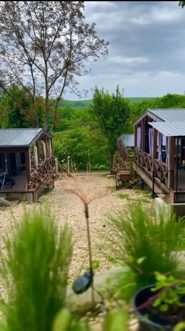 Гостевой дом  Три Стихии