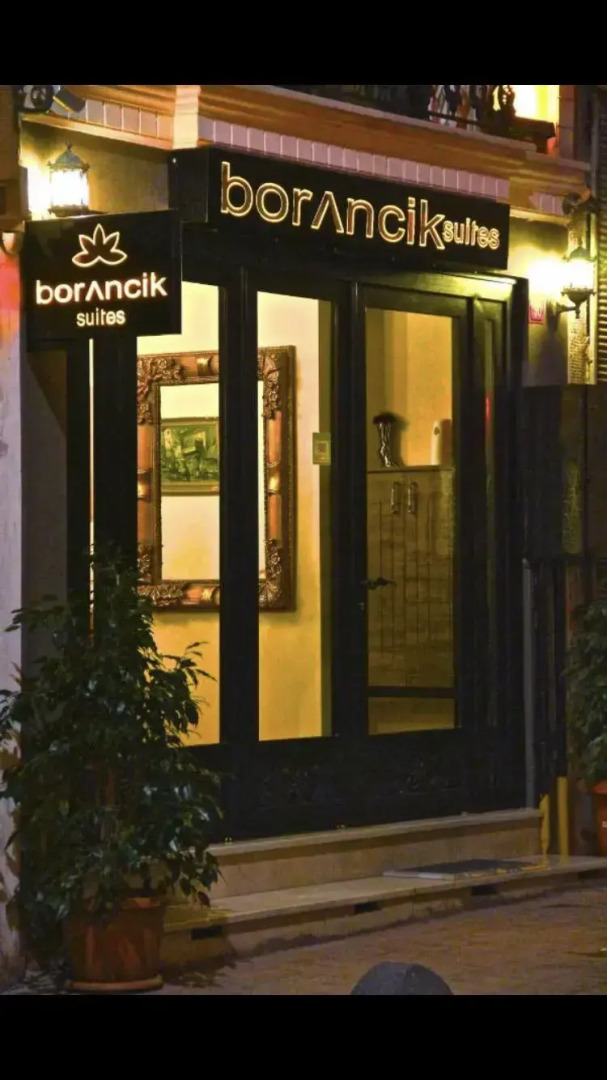 Отель Borancik Suites
