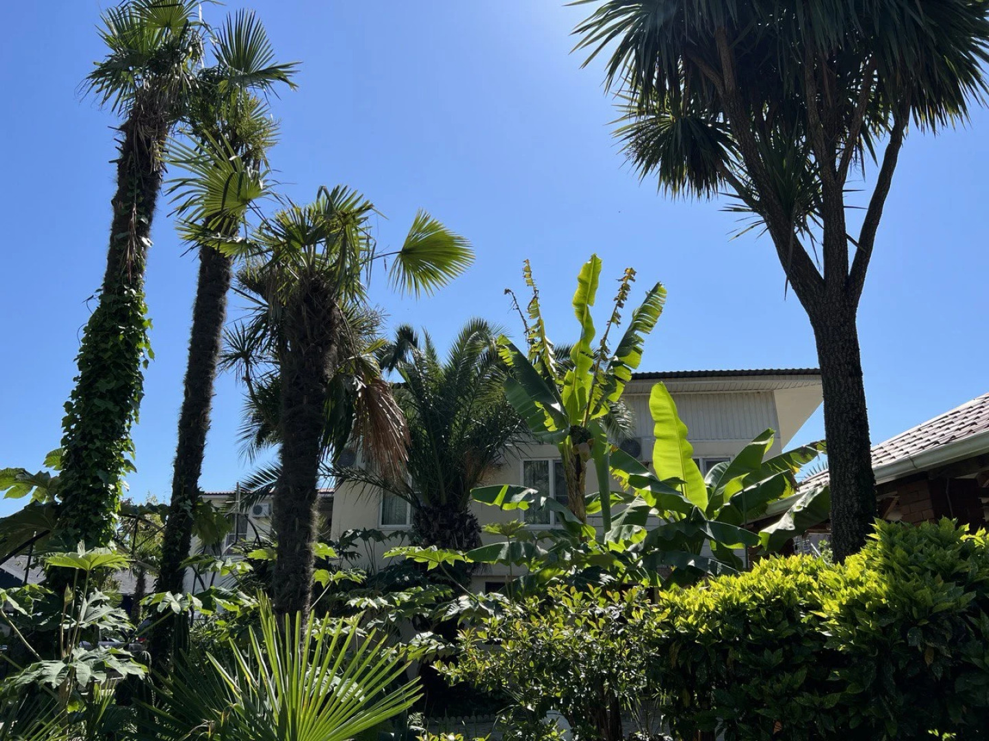 Гостевой дом Форелька