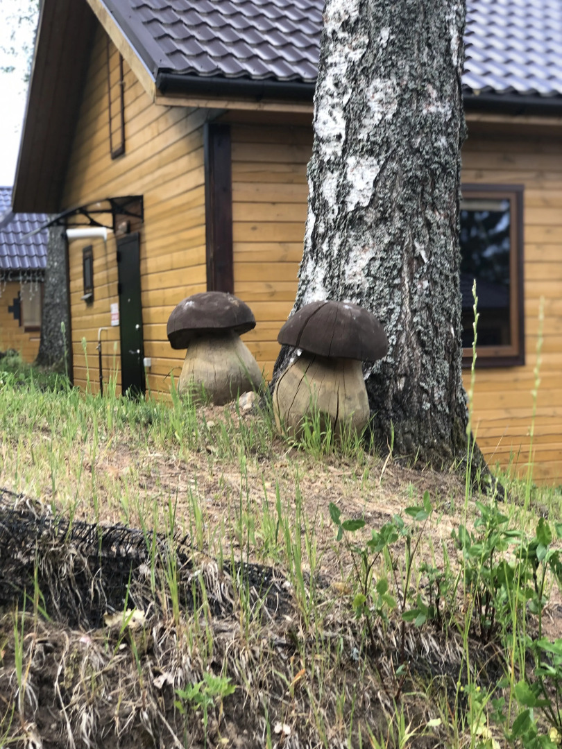 База Отдыха Солнечная