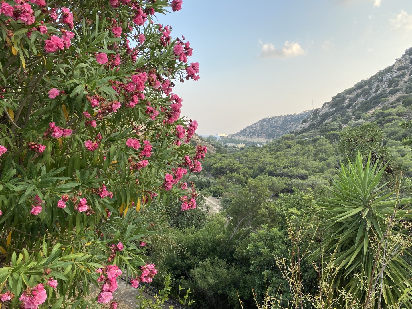 Апарт-Отель Oleander's Garden