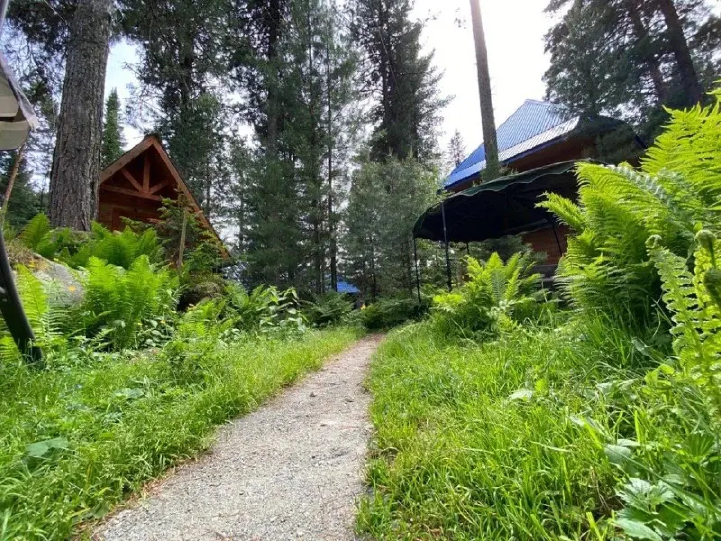 Гостевой дом Лукоморье