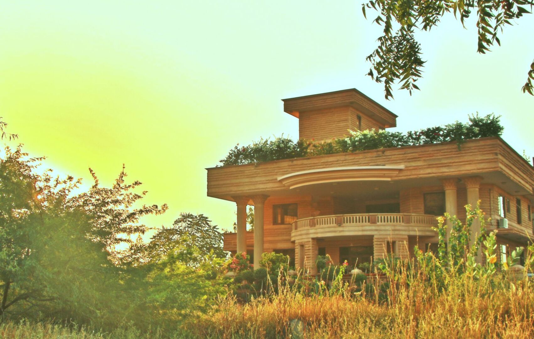 Отель The Almond Tree