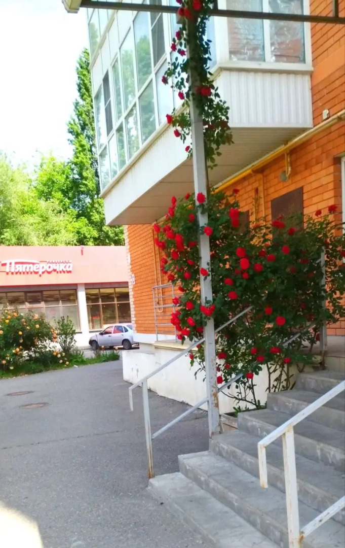 Квартира Однокомнатная Мкр.Курортный