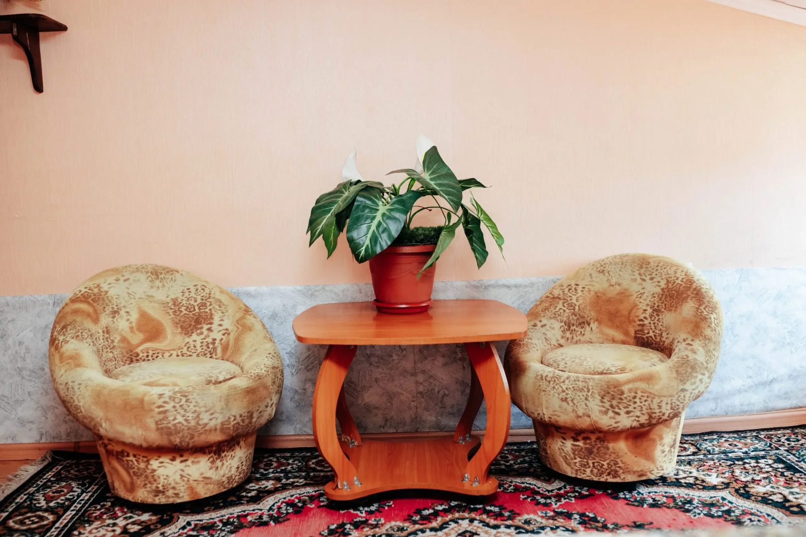 Отель Новинка