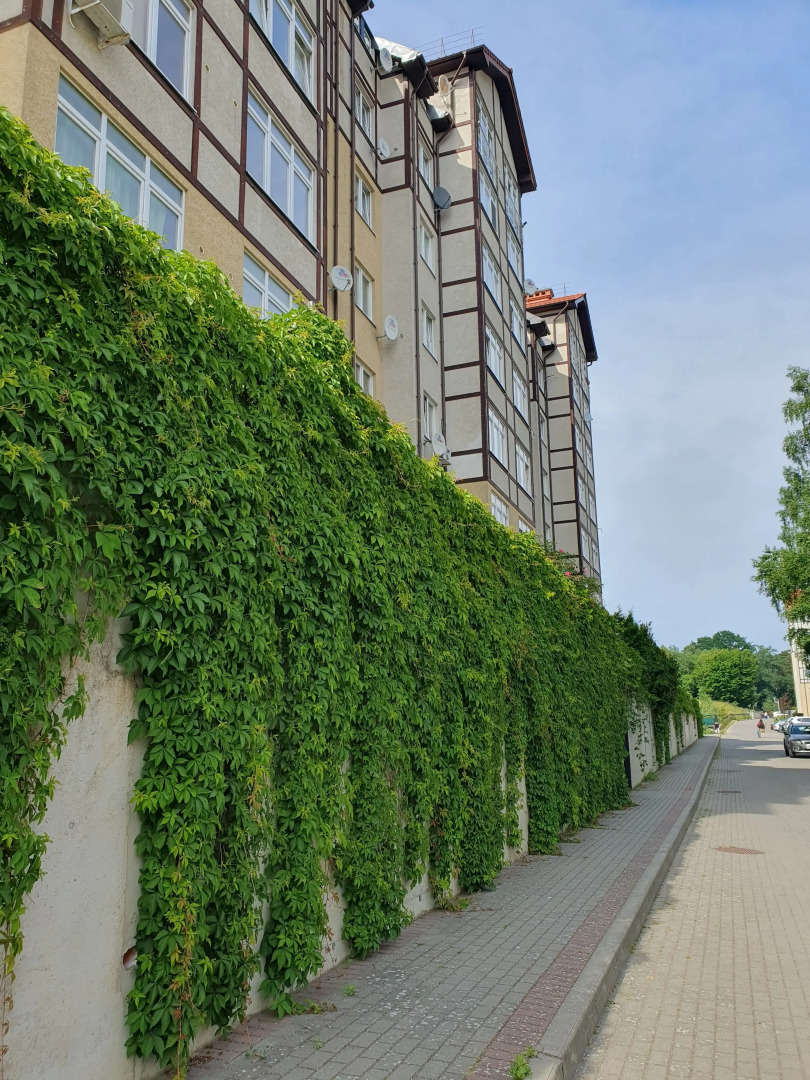 Квартира Silent Place on Olymp